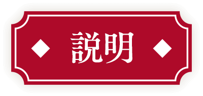 説明